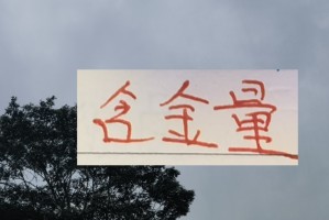 九游体育入口-归化球员也是稀缺资源！上个赛季前4 就海港 申花 北京国安有