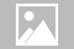 九游app-【早报】曼城or巴黎？《C罗去哪了》开机！