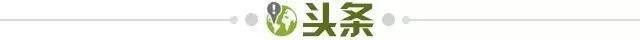aecff06f-fe65-4a1c-ae0a-c0d9551aa4af.jpg@!img01